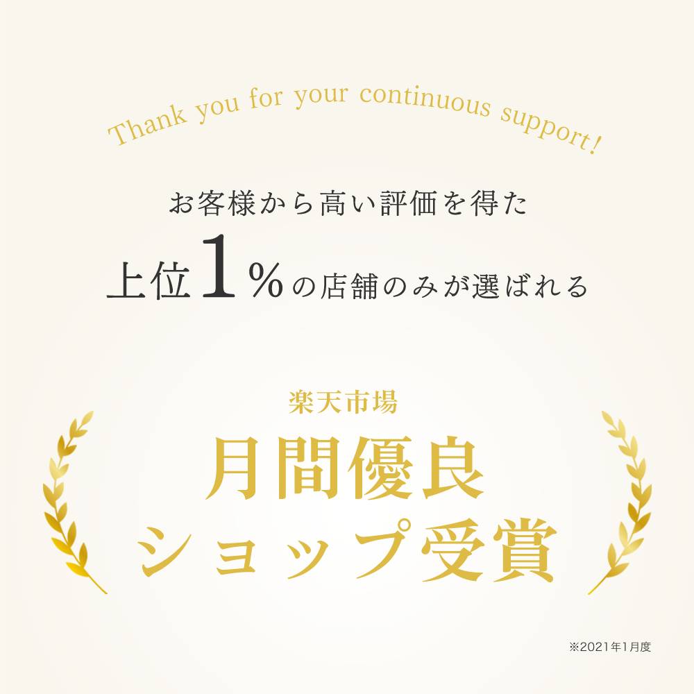 MyComfort 腰クッション ランバーサポート ベーシックモデル