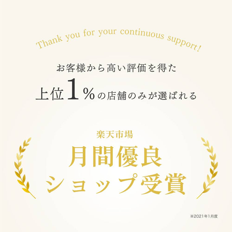 MyComfort 腰クッション ランバーサポート ベーシックモデル