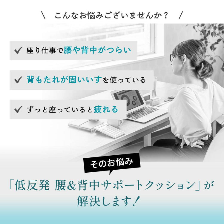 MyComfort 腰クッション ランバーサポート ベーシックモデル